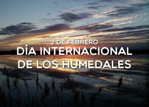 2-de-febrero-Dia-Internacional-de-los-Humedales
