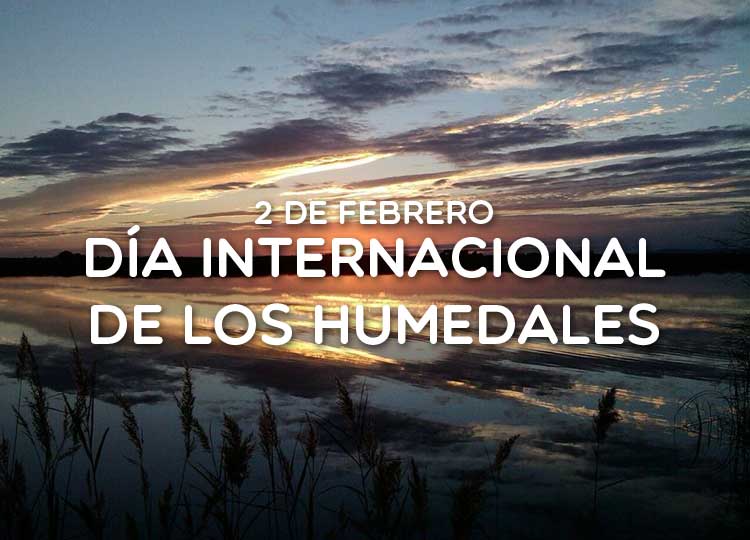 2 de febrero Día Internacional de los Humedales
