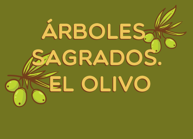ÁRBOLES SAGRADOS (4) – EL OLIVO